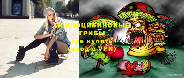 тгк Алзамай