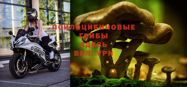 ALPHA PVP Алексеевка
