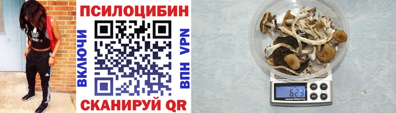 где можно купить наркотик Тобольск Галлюциногенные грибы GOLDEN TEACHER